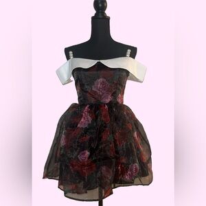 Dolls Kill / SUGAR THRILLZ Floral Rose Organza Mini Dress